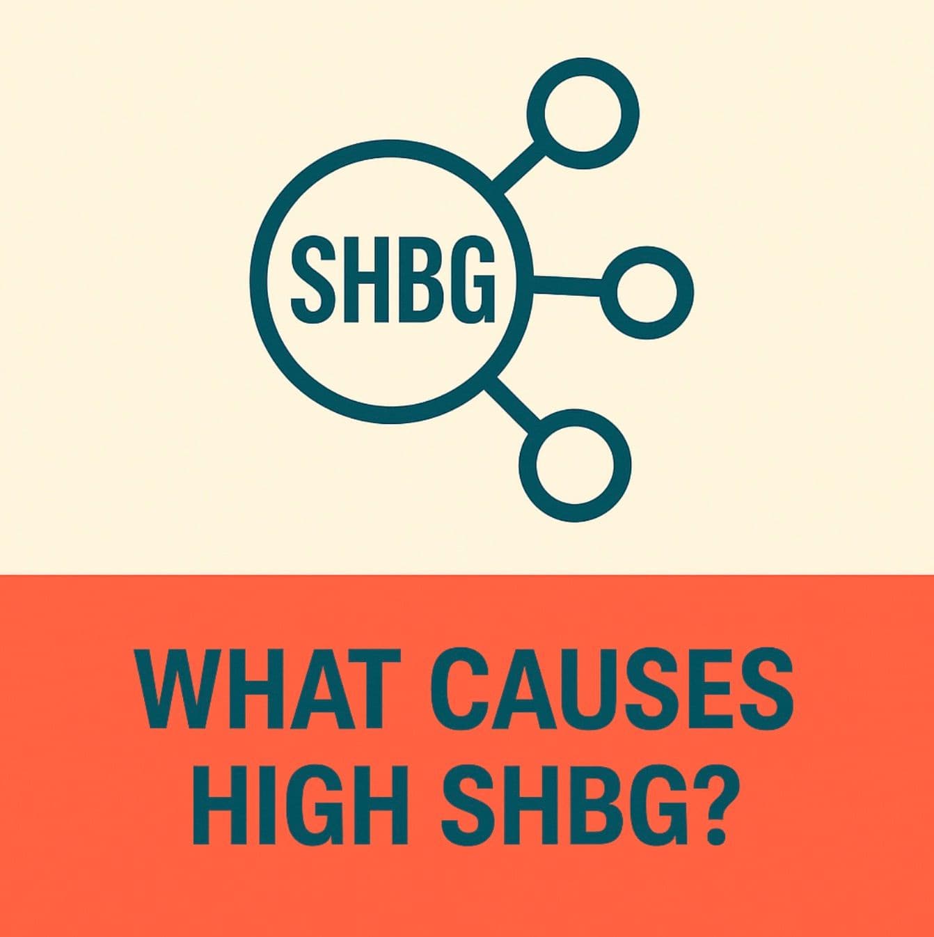 What Causes High SHBG? Symptoms, Testing, and Next Steps